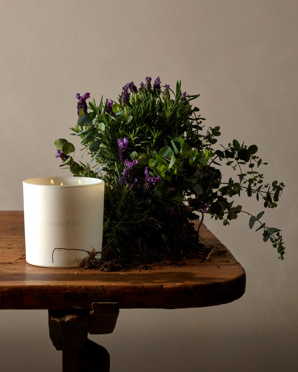 Cowshed Relax Large Candle