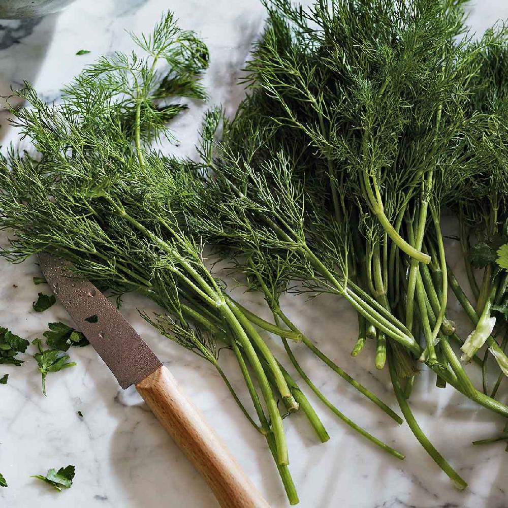 crabtree & evelyn Gardeners Hand Cream - 75ml