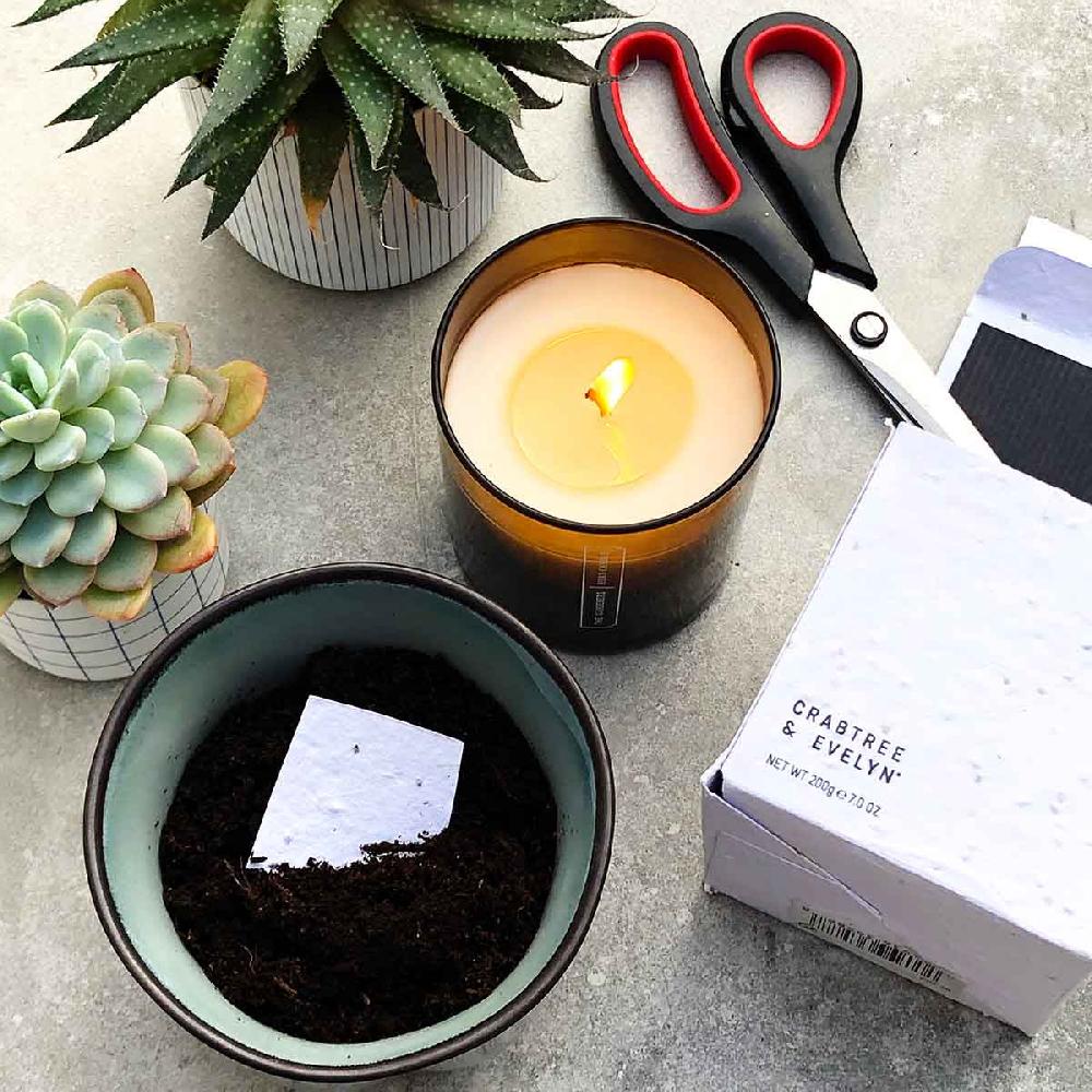 Crabtree & Evelyn Herb Candle - 200g