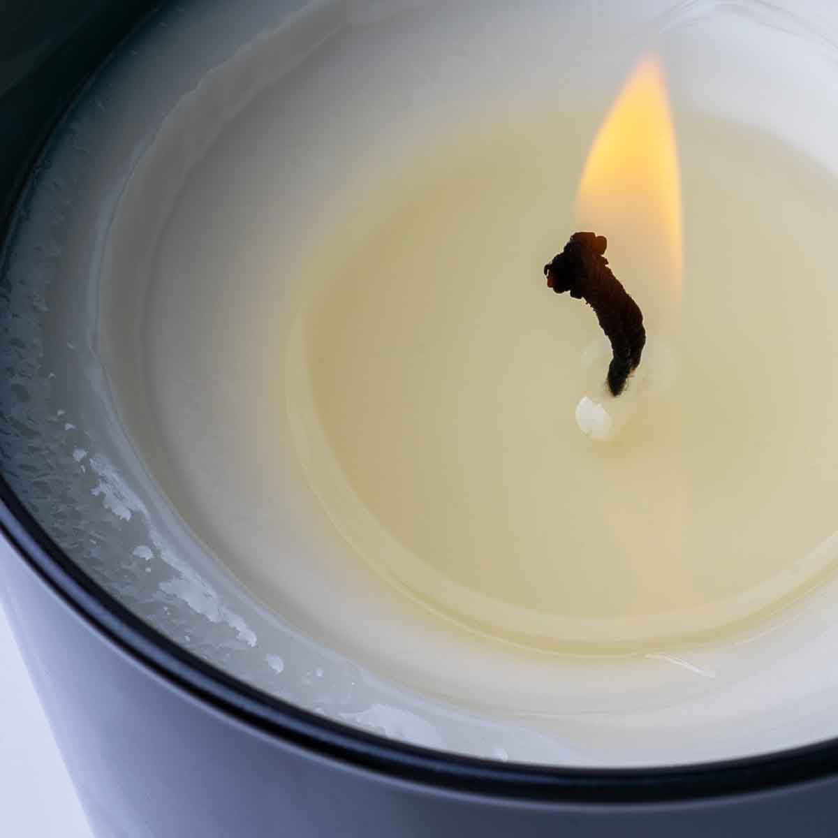 Crabtree & Evelyn Raw Instinct Candle - 250g