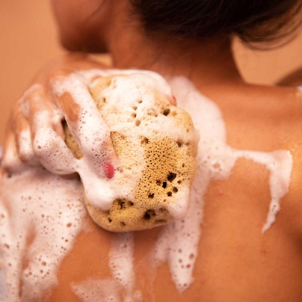 Crabtree & Evelyn Silk Sea Sponge