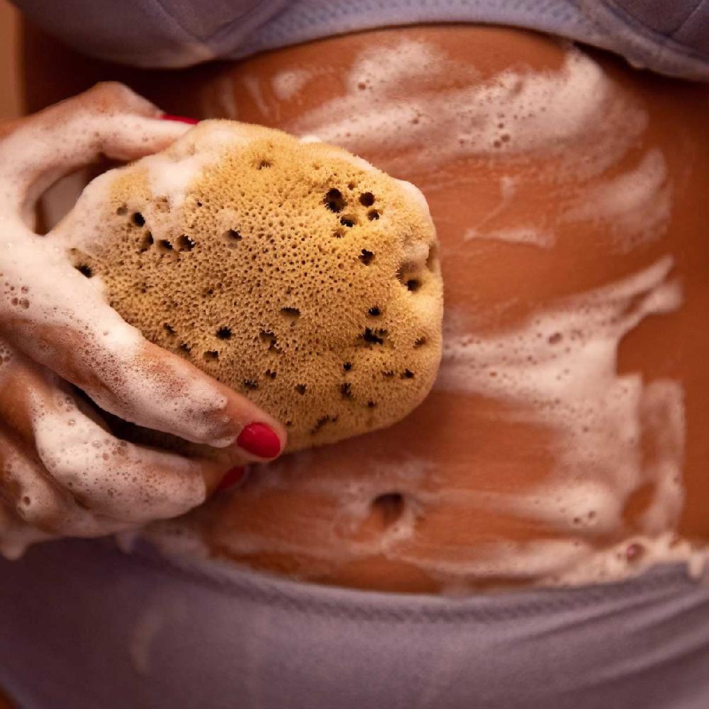 Crabtree & Evelyn Silk Sea Sponge