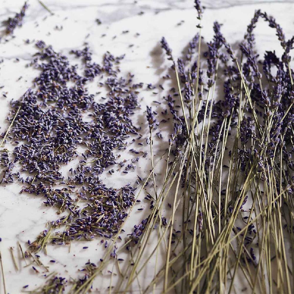 Crabtree & Evelyn Verbena & Lavender Hand Cream - 25ml