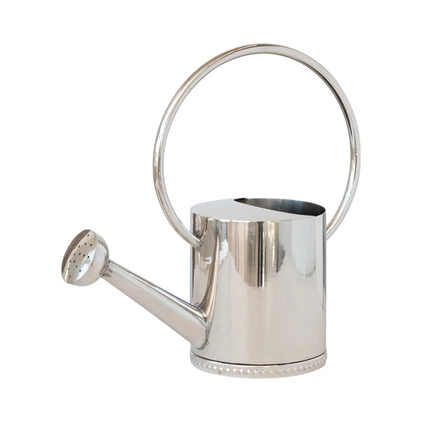 Creative Co Op 1 Gallon Stainless Steel Watering Can