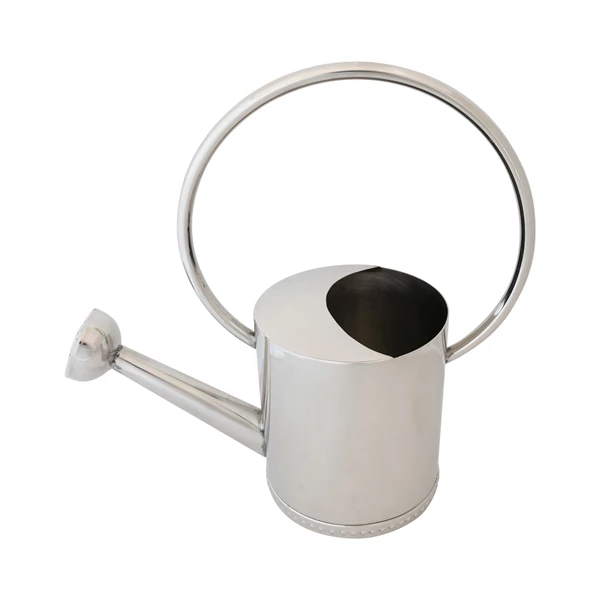 creative co op 1 Gallon Stainless Steel Watering Can creative co op 1 Gallon Stainless Steel Watering Can