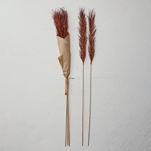 Creative Co Op 57"H Dried Natural Date Palm Bunch Orange Color (Contains 4 Pieces)