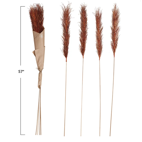 Creative Co Op 57"H Dried Natural Date Palm Bunch Orange Color (Contains 4 Pieces)