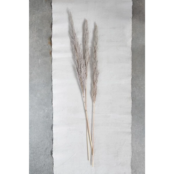 Creative Co Op Dried Natural Pampas Grass Bunch