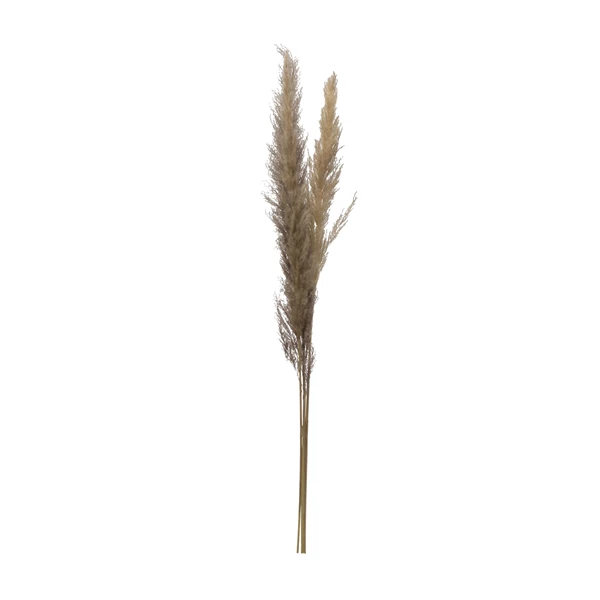 creative co op Dried Natural Pampas Grass Bunch