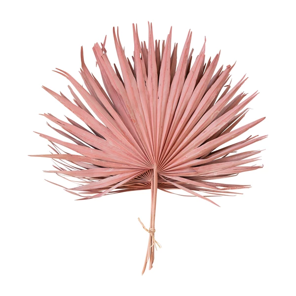 Creative Co Op Dried Palm Leaf Bunch