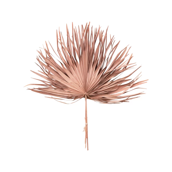 creative co op Dried Palm Leaf Bunch