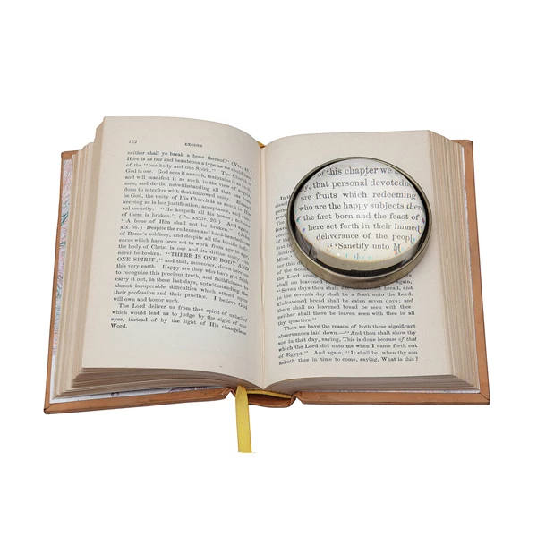 creative co op Paperweight/Magnifying Glass