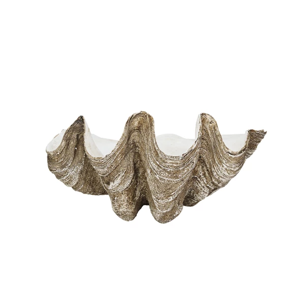 creative co op Decorative Resin Clam Shell Wall Container