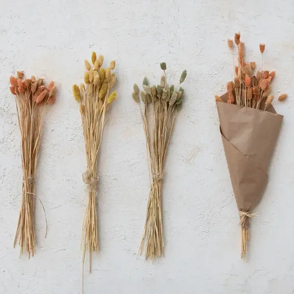 Creative Co Op Dried Natural Canary Grass Bunch 3 Colors