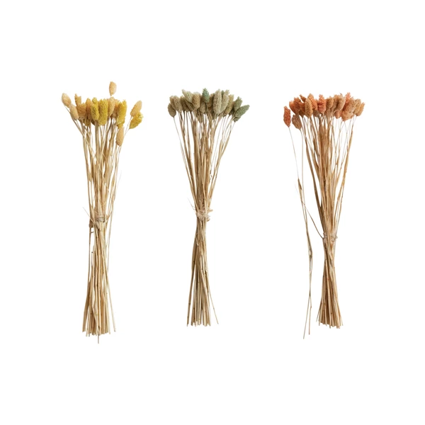 Creative Co Op Dried Natural Canary Grass Bunch 3 Colors