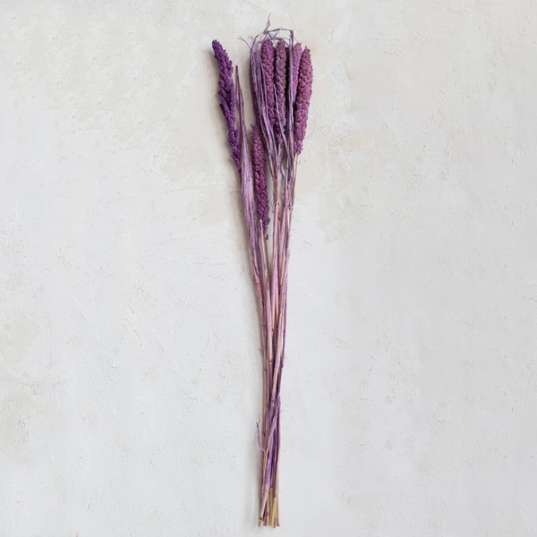 Creative Co Op Dried Natural Foxtail Bunch Lavender Color