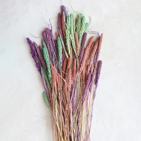 Creative Co Op Dried Natural Foxtail Bunch Lavender Color