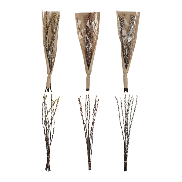 creative co op Dried Natural Pussy Willow Bunch 3 Colors