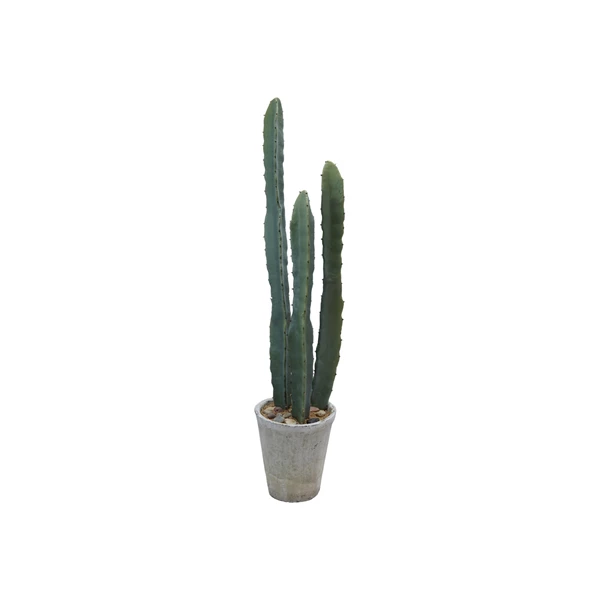 creative co op Faux Euphorbia Cactus in Cement Pot with Pebbles