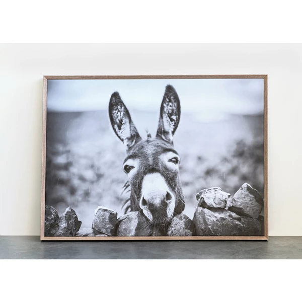 Creative Co Op Framed Canvas Wall Decor With Donkey