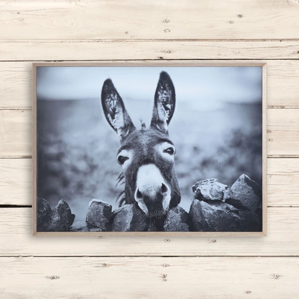 Creative Co Op Framed Canvas Wall Decor With Donkey