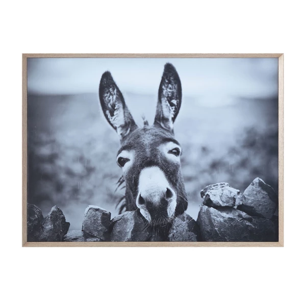 creative co op Framed Canvas Wall Decor with Donkey