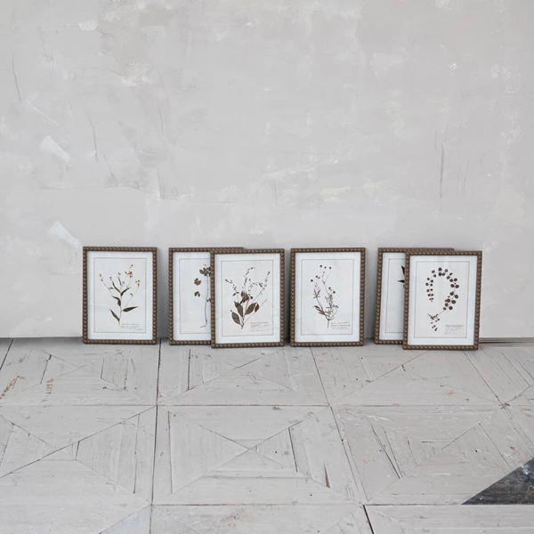 Creative Co Op Framed Glass Wall Décor With Botanical Print 6 Styles