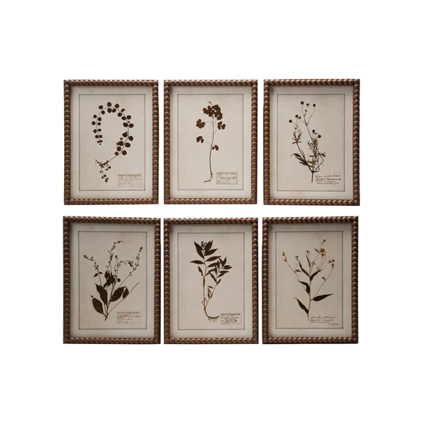 creative co op Framed Glass Wall Décor with Botanical Print 6 Styles