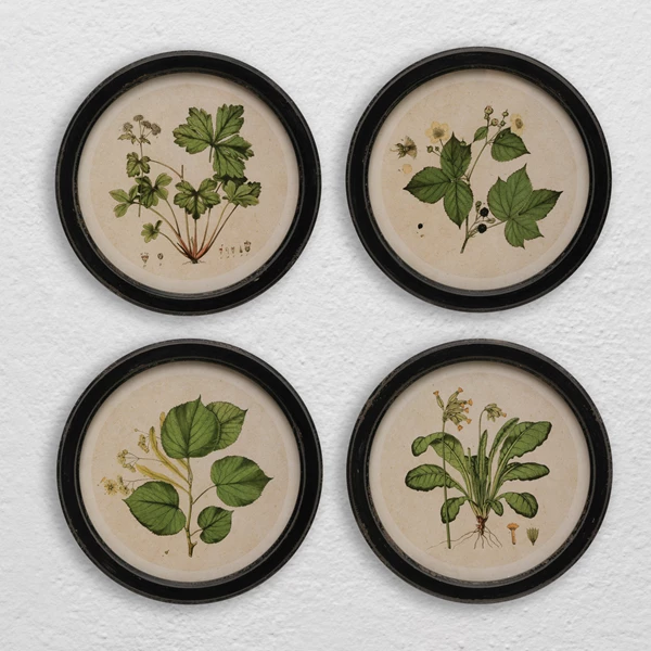Creative Co Op Framed Wall Decor With Botanical Print 4 Styles