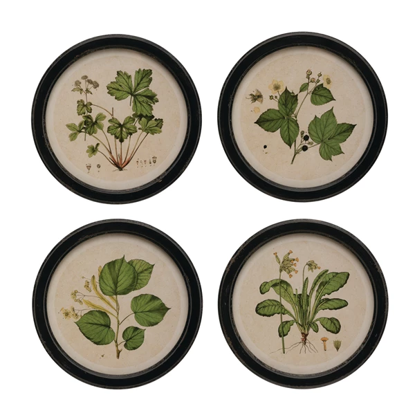 creative co op Framed Wall Decor with Botanical Print 4 Styles