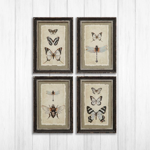 Creative Co Op Framed Wall Decor With Insect Print 4 Styles