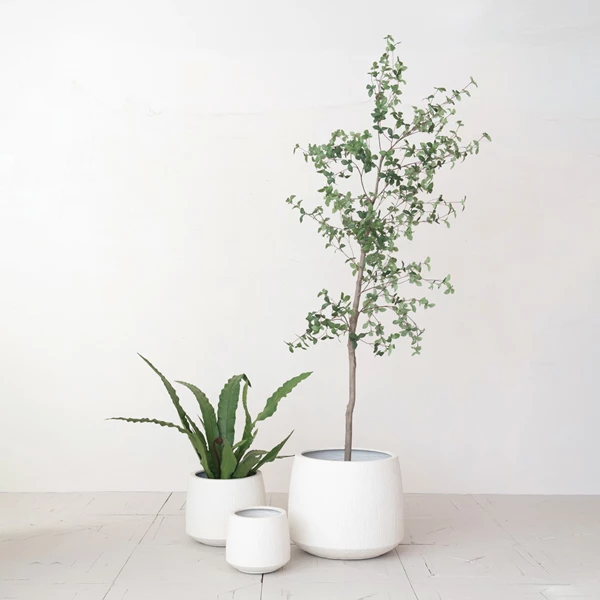Creative Co Op Lightweight Eco Stone Indoor/Outdoor Grooved Planters White Set Of 3