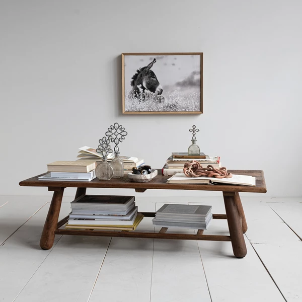 Creative Co Op MDF Framed Canvas Wall Décor With Donkey Photography