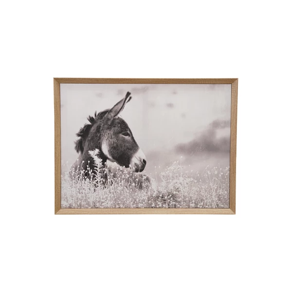 creative co op MDF Framed Canvas Wall Décor with Donkey Photography