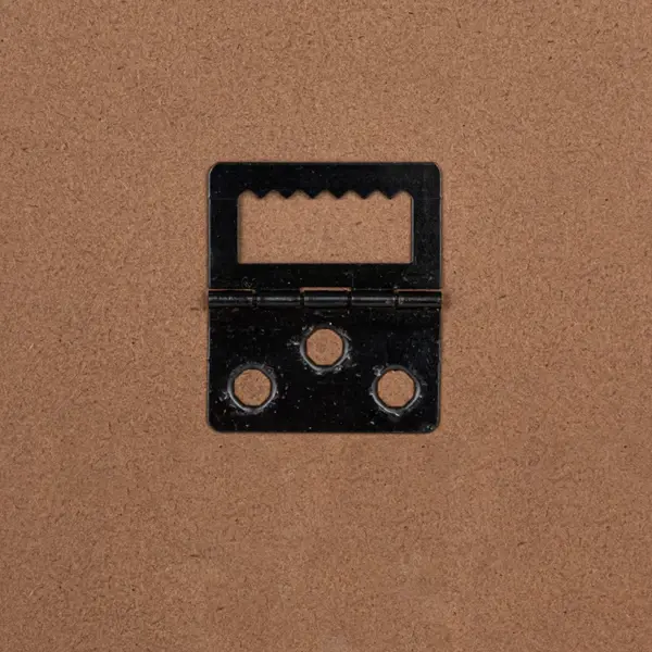 Creative Co Op MDF Framed Glass Wall Décor W/ Woman Holding Flowers