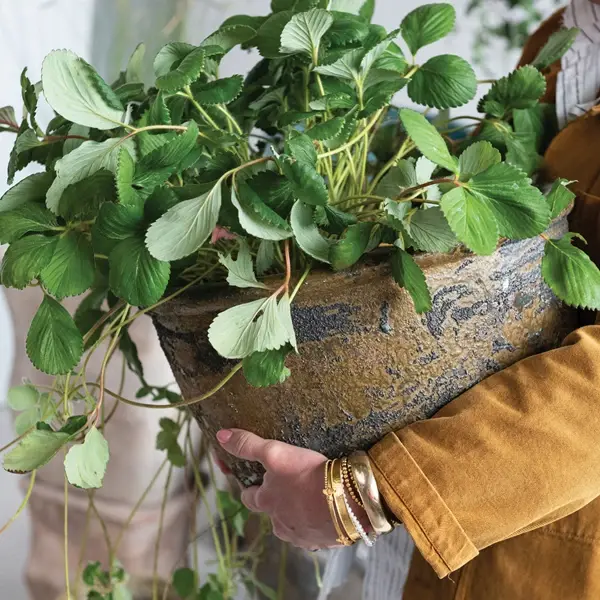 Creative Co Op Mediterranean Pot Pallet: Includes 11 Sets Of Pots (36 Pieces)