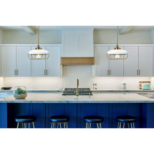 Creative Co Op Robert Stevenson Lighting Presley - Caged Dome Metal Ceiling Light