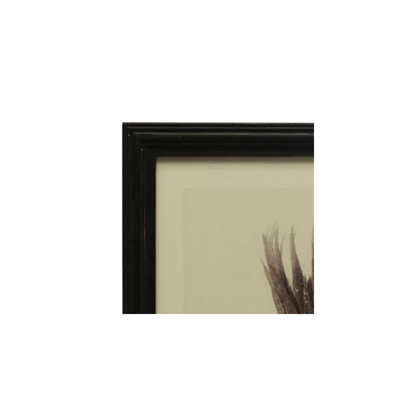 Creative Co Op Wood Framed Glass Wall Décor W/ Artichokes Black & Antique White