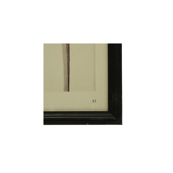 Creative Co Op Wood Framed Glass Wall Décor W/ Artichokes Black & Antique White