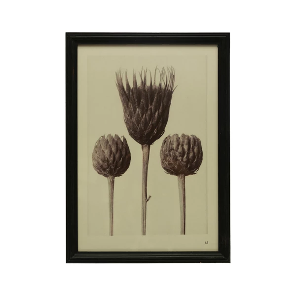 creative co op Wood Framed Glass Wall Décor w/ Artichokes Black & Antique White
