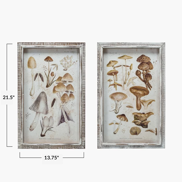 Creative Co Op Wood Framed Glass Wall Décor W/ Mushrooms Print 2 Styles