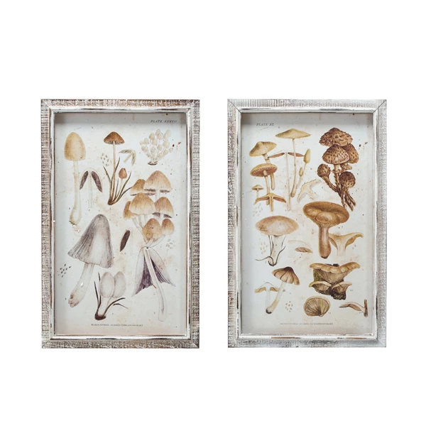 creative co op Wood Framed Glass Wall Décor w/ Mushrooms Print 2 Styles