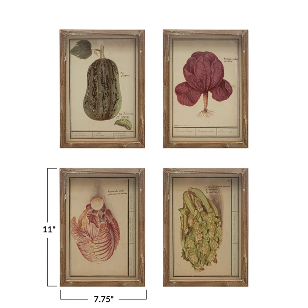 Creative Co Op Wood Framed Glass Wall Décor W/ Vintage Reproduction Vegetable Image Multi Color 4 Styles