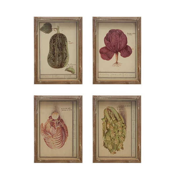 creative co op Wood Framed Glass Wall Décor w/ Vintage Reproduction Vegetable Image Multi Color 4 Styles