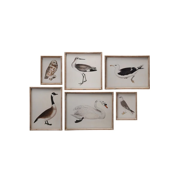 creative co op Wood Framed Glass Wall Décor with Bird Images Set of 6
