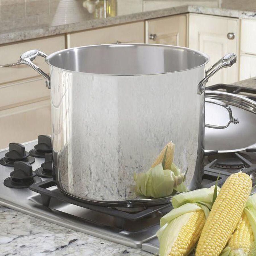 Cuisinart Chef's Classic ™ Stainless 12 Quart Stockpot With Cover 766-26