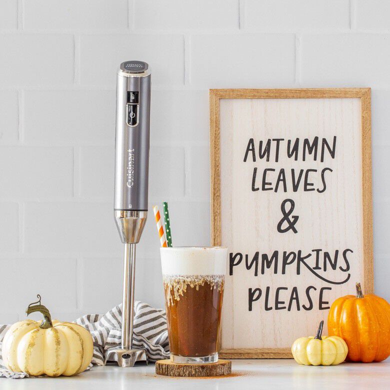 Cuisinart EvolutionX Cordless Hand Blender RHB-100TG Dark Gray