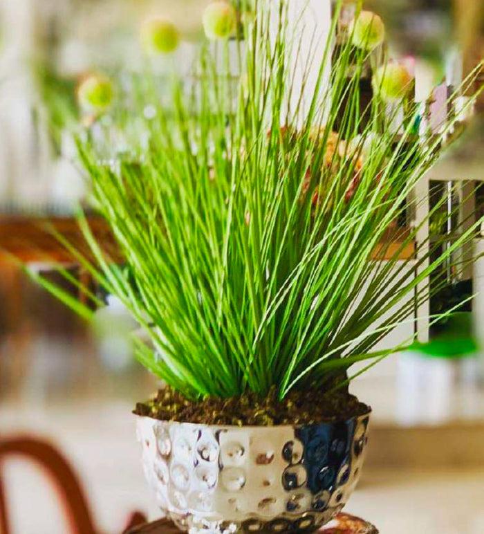 Cuisinox Cuisinox Serving Bowls Decorative Bowls