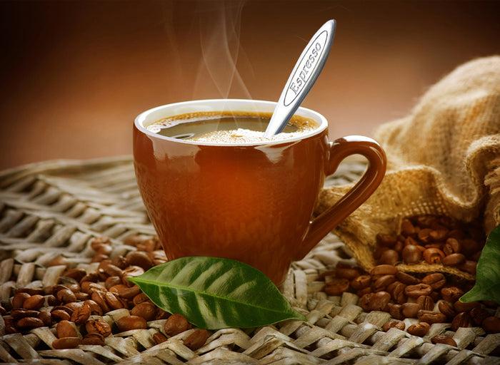 Cuisinox Cuisinox Signature Series Set Of 4 Espresso Cups Brown Porcelain Coffee U0026 Tea Cups