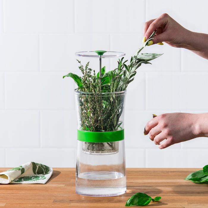 cuisipro Cuisipro Herb Keeper 747134 Herb Keeper